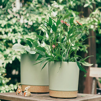 Vasi di plastica dell'interno della pianta verde con i fori di drenaggio e la base smontabile
