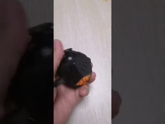 12 Sided Stress Relief Fidget Toys Cube For Children Adults