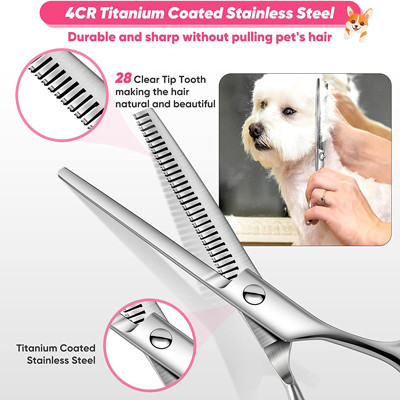 6 nelle forbici Kit With Safety Round Tips 1 di acciaio inossidabile governare del cane