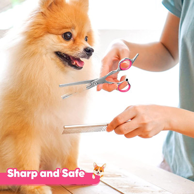 6 nelle forbici Kit With Safety Round Tips 1 di acciaio inossidabile governare del cane