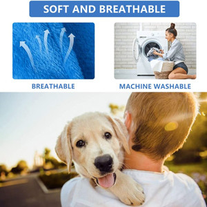 Imbracatura multifunzionale per imbracatura per toelettatura per cani per amaca per il taglio delle unghie