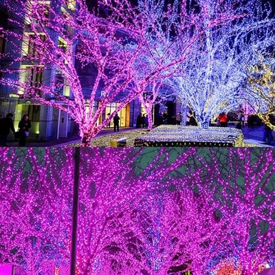 il Natale impermeabile alimentato solare di 20m LED mette insieme le luci per la decorazione di nozze del partito