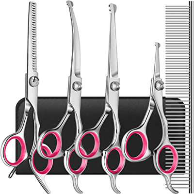 6 nelle forbici Kit With Safety Round Tips 1 di acciaio inossidabile governare del cane