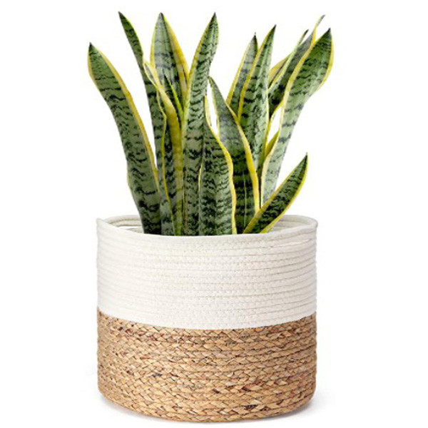 canestri tessuto 10&quot; 12&quot; del canestro della pianta della corda del cotone piantatrici dell'interno del pavimento del vaso di fiore per la decorazione domestica
